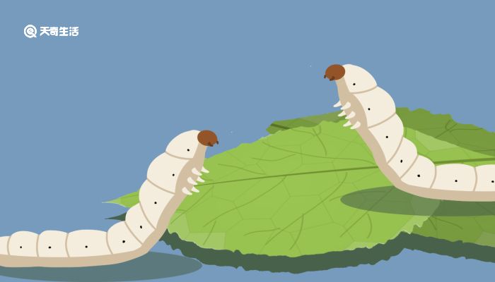 里番领域 番领域如果你有其他问题