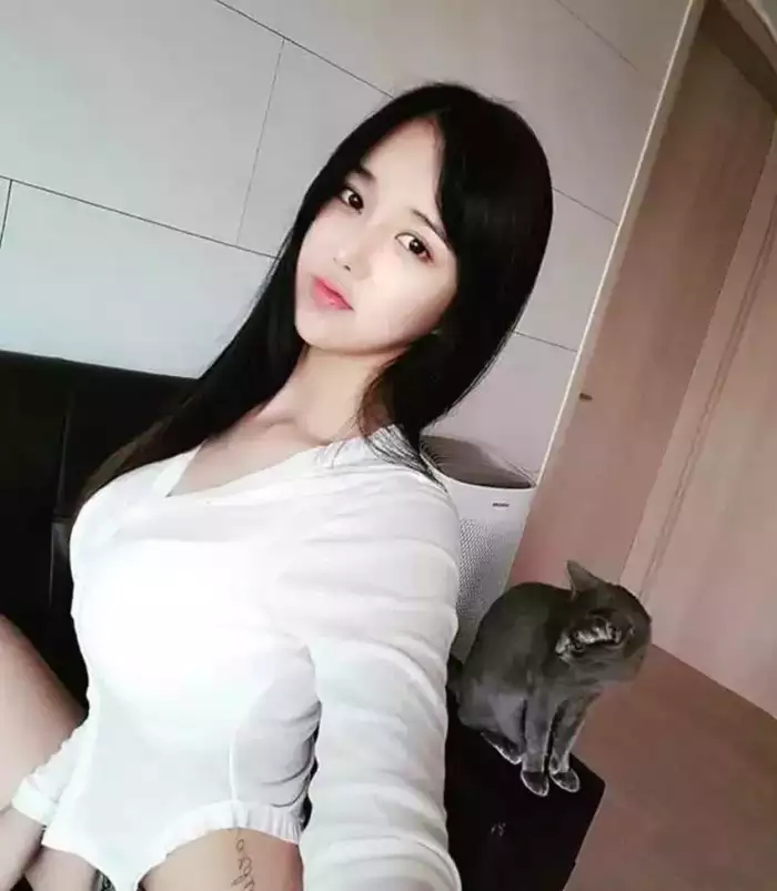 本能电影 而非单纯叙事的观点