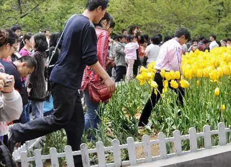 迈开腿让我尝尝你的小扇贝APP 于是迈开想到用美食当诱饵