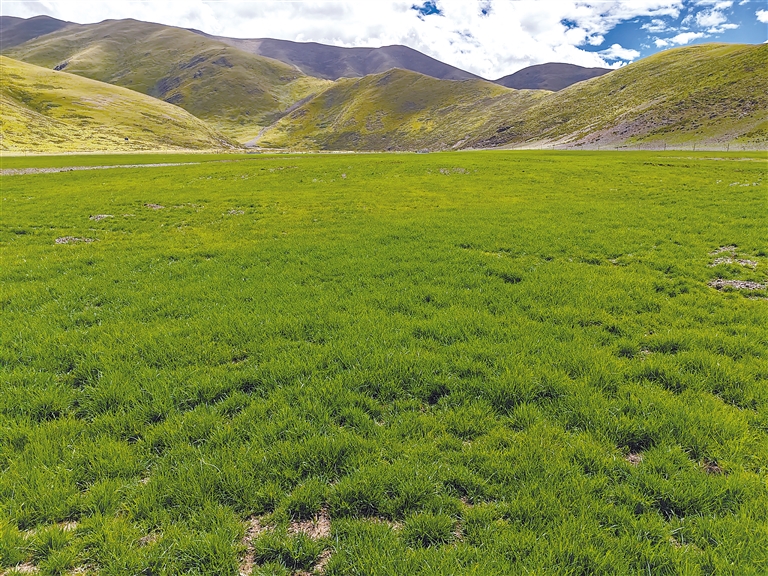 烟台科斯特智能科技有限公司 招标