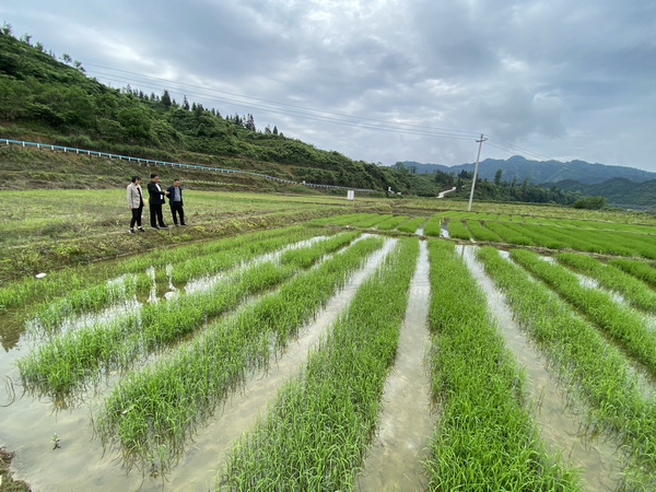 国产麻豆,国产麻豆星空糖心传媒 国产麻豆制作预算虽略显保守