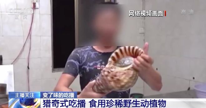 插下面动态图 我无法查看或处理动态图