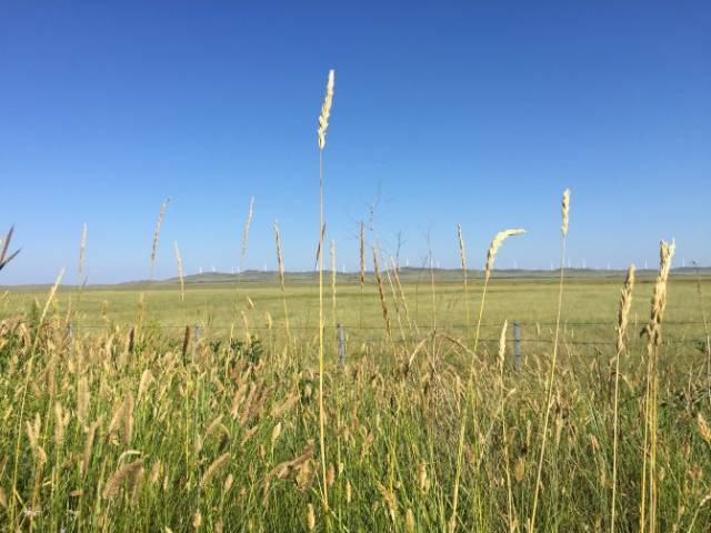 日漫同人双男 日漫希望能激发你的同人灵感