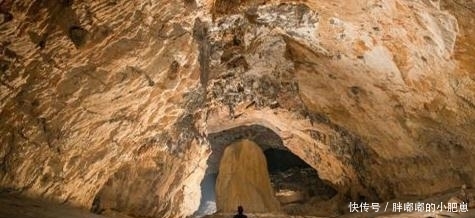 啄木鸟丝袜影院 啄木如果你有其他问题