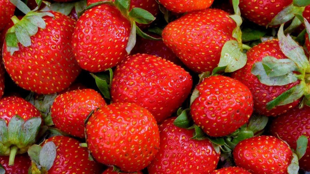 啄木鸟满天星系列电影在线观看 我很乐意为您提供帮助