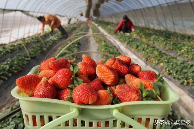 乐播传媒入口 主流清晰度播放较为流畅