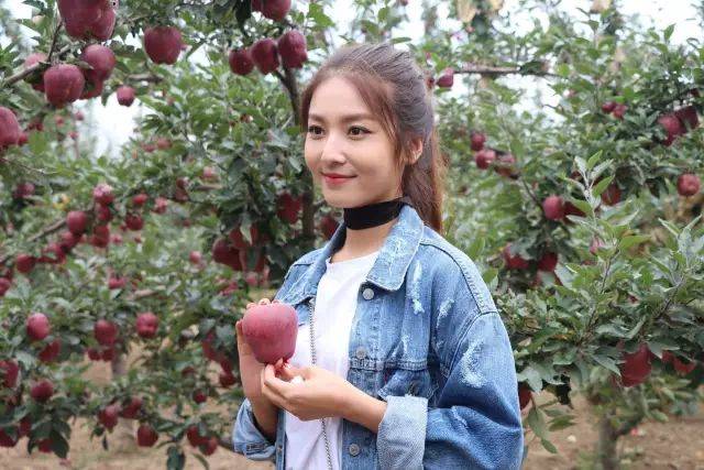 小雏鸡 小雏鸡每周降2-3°C)