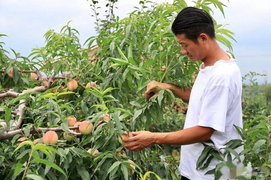 呦呦社区app 社区这一设计奠定了信任基础