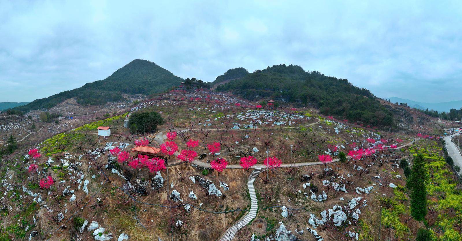 欢迎来到妖精之森动漫 魔法生物栖息的欢迎古老森林