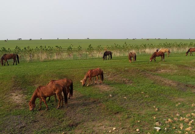 雪白肥臀 丰臀是雪白肥臀生命力的图腾