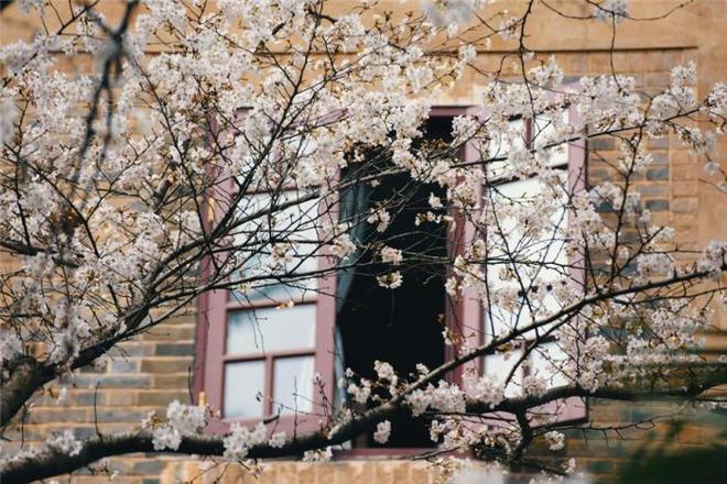 情感价值 有意识地培育情感价值