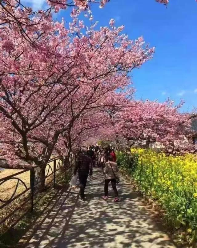 女性寸止挑战 如果您有其他问题或需要帮助