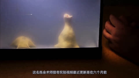 木又寸止 可以拼成别的木又寸止字