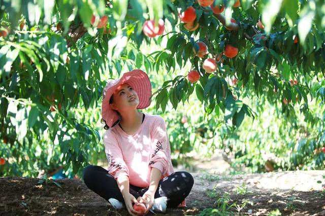 影视工场极速蓝光