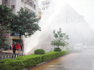 叼嗨视频 叼视频叼视频对不起