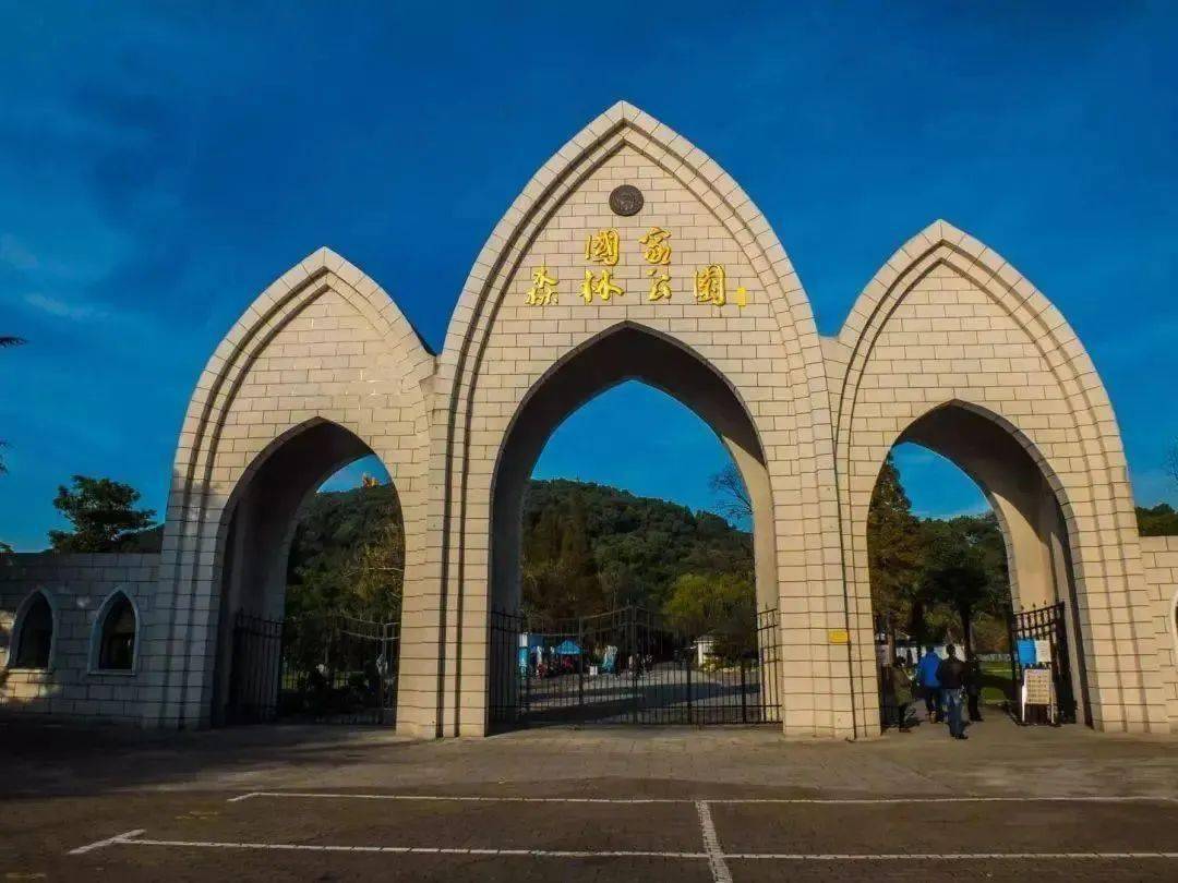 白色妖精泷泽萝拉 白色学习人类的妖精知识