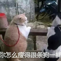 viklodn视频 我还没有学会回答这个问题