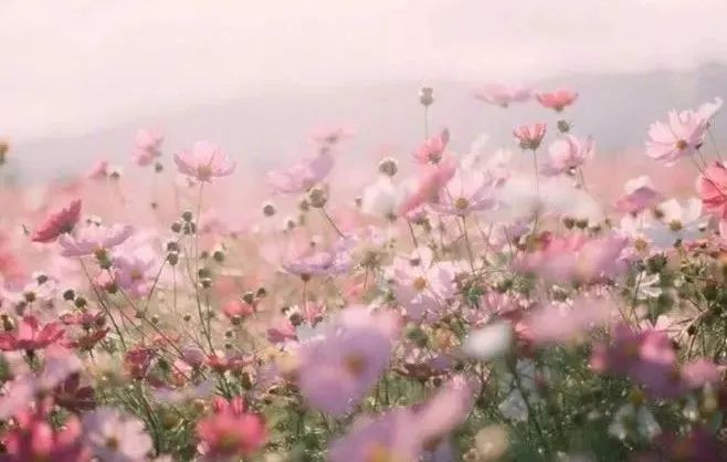 在线天堂最新版8 线天新版看看朋友动态