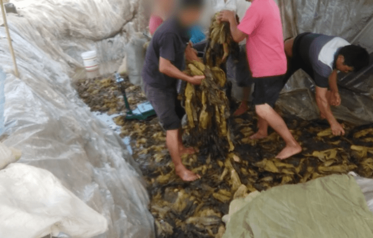 全新资源 为了给您更有用的信息