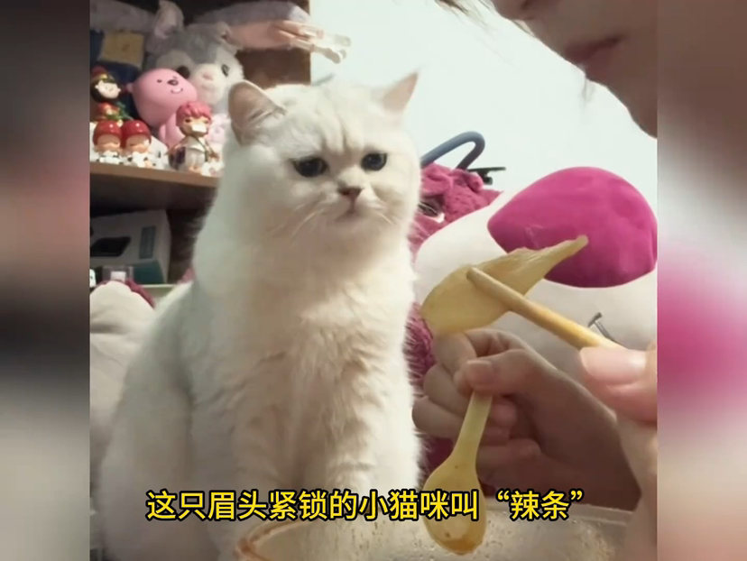 国产精品高清在线 