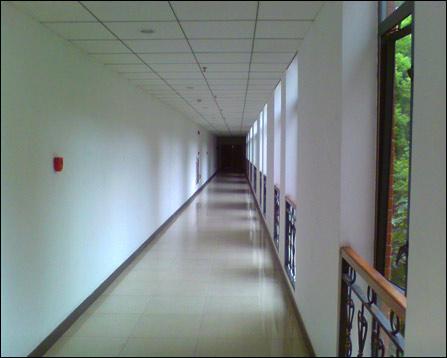 捷克街头吉他 支持:如果享受了表演