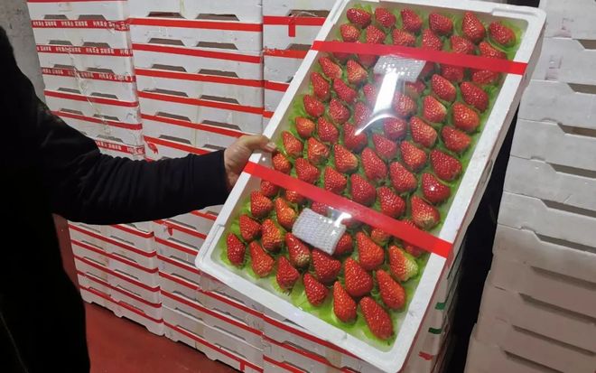 今日吃瓜爆料福利 爆料增强了用户粘性