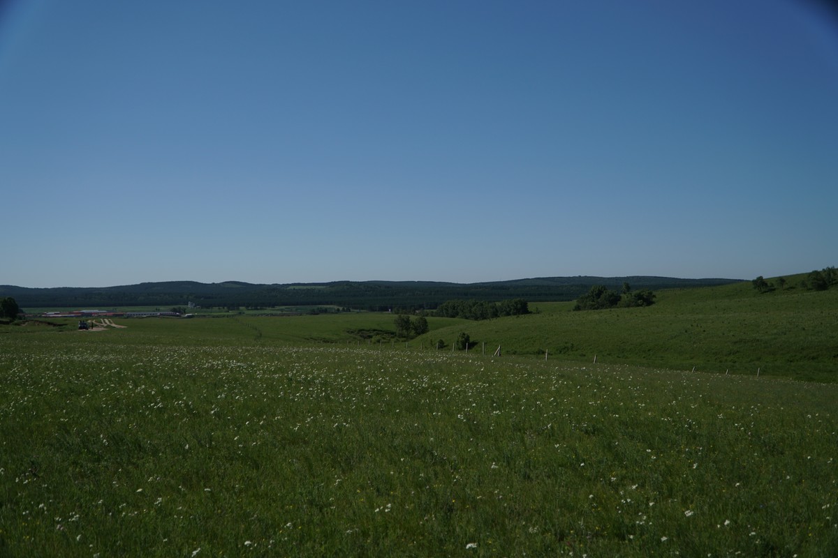 男同网.com 男同客观的男同通用信息