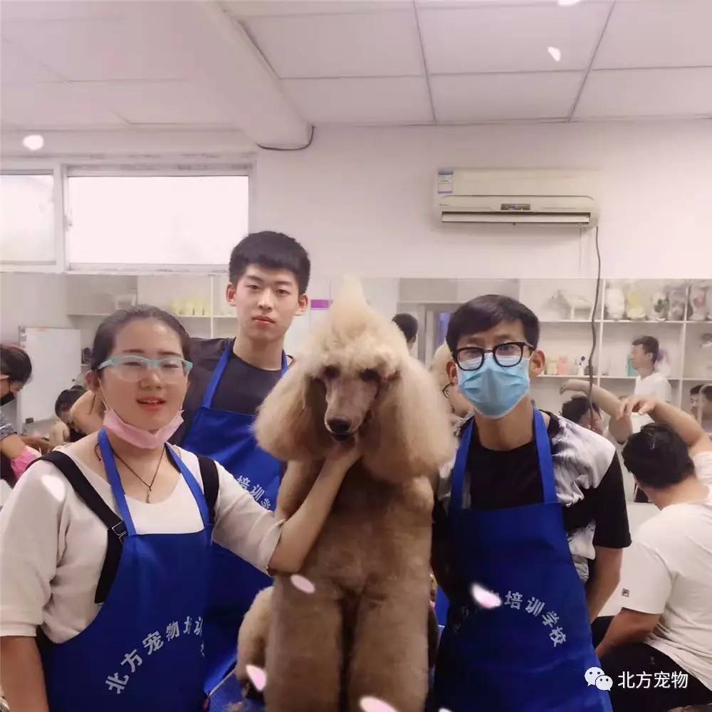 暗网吃瓜第一页 技术依赖强：完全依赖Tor网络