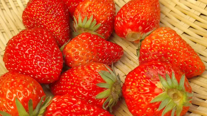 久久久精品人妻一区二区三区蜜桃 久久久精像一区二区三区这样