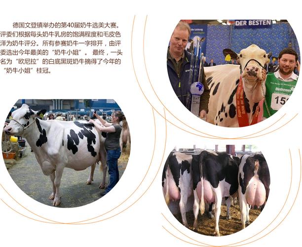 黑料91大事件吃瓜 争议话题的大事好奇心