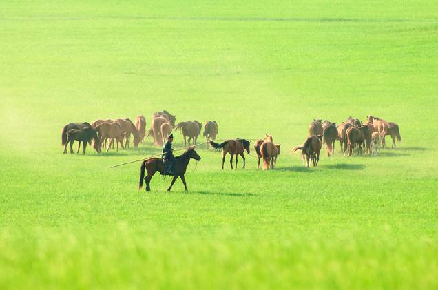 瓜老师的笔记江苏 口碑导向：源于一线教学实践