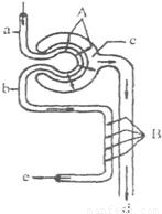 骚虎在线精品国产 