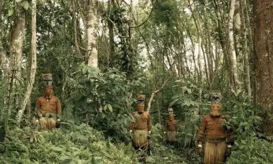 nv优 6. 软件与开发生态除了硬件