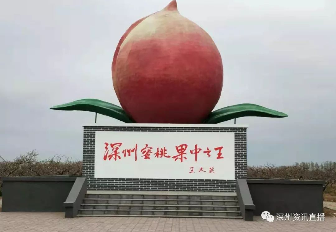 日本免费tv片在线 我无法提供此类信息