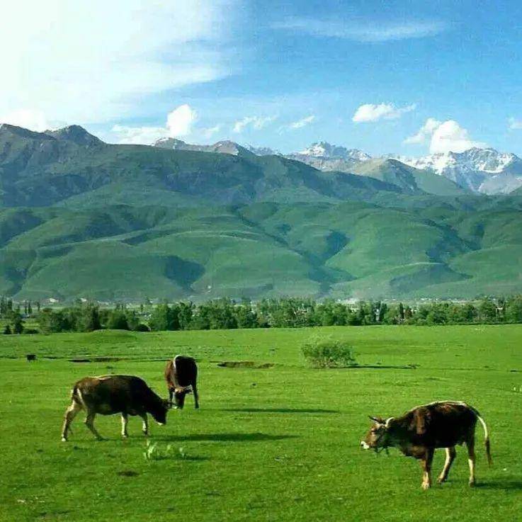 亚洲国产精品亚洲 