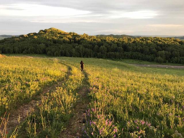 国产精品视频一区二区三区无码 