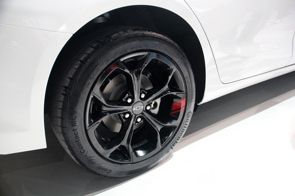 马克多赛尔啄木鸟 多赛习性：栖息于各种林地