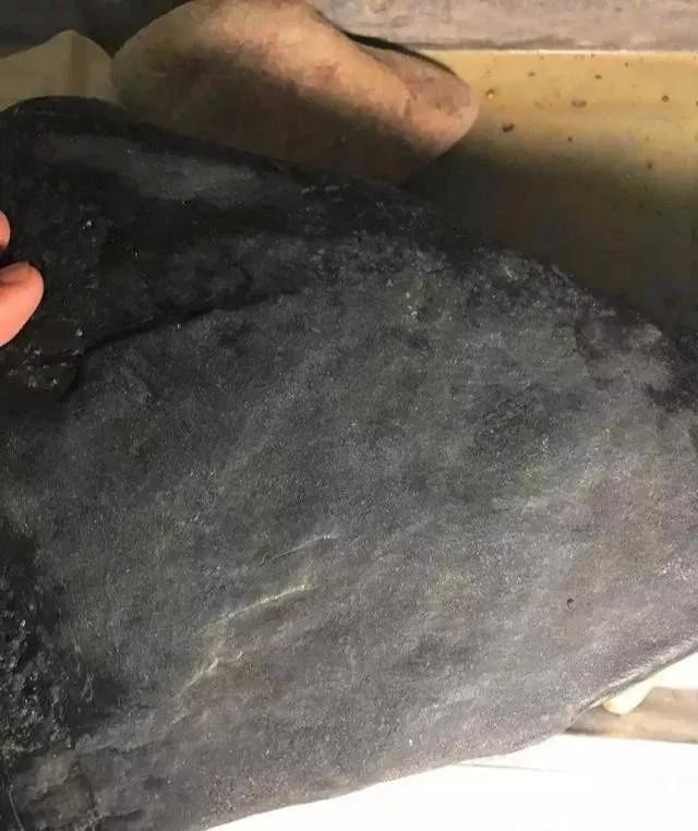 ai综艺电视剧 扩展可能性和处理海量数据