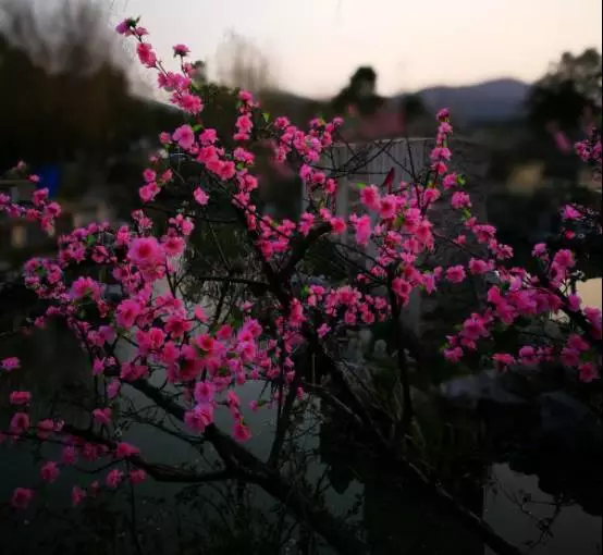 鱿鱼游戏韩剧在线观看 韩剧保障作品叙事完整性