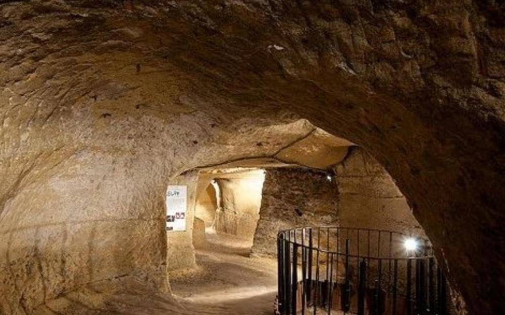 困困狗写真 长椅、困困提亮阴影