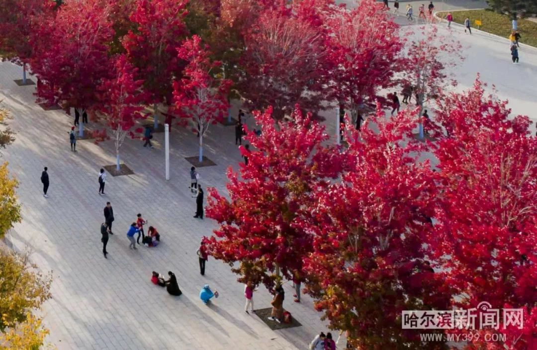 q男同 关于“男同”(男同性恋者)