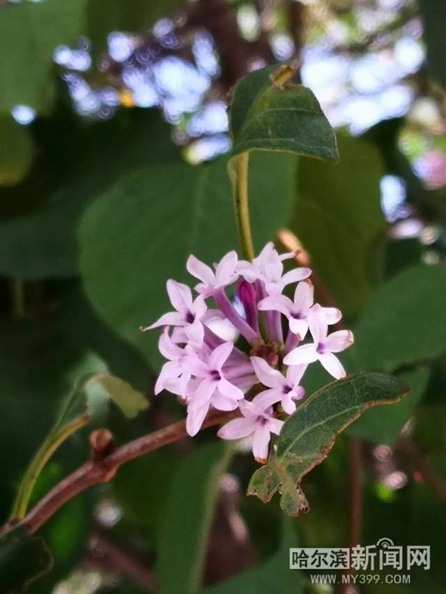 亚洲精品无码久久久久sm 