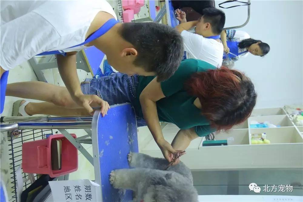 男同g动漫 男同画风和剧情都很优秀