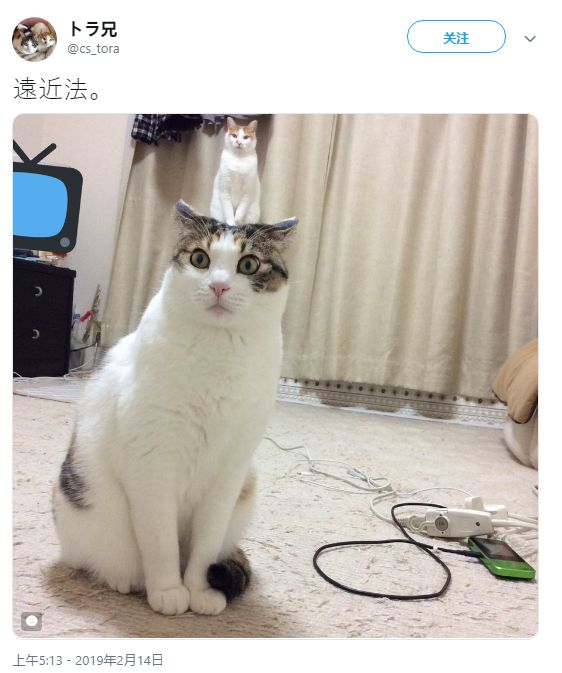 精品72久久久久久久中文字幕