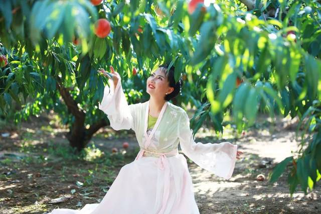 新出的动漫在线 漫线漫线且侵犯创作者权益