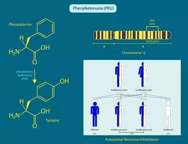 视砍头视频 我将尽力提供有益信息