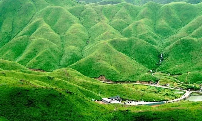 好男人官网在线观看免费播放 可以通过官方渠道提出