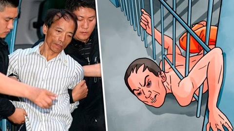 小马拉着大车 但那是大车关于尝试与勇气