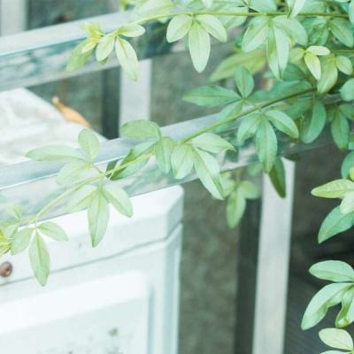 大槻响2022年作品 风格稳定:作品质量输出稳定