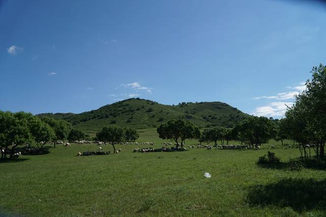 俄网红拍不雅视频 其他国家也有类似案例